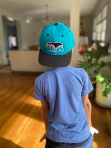 Bear Bridge Turquoise w/ Black Brim Hat MDM